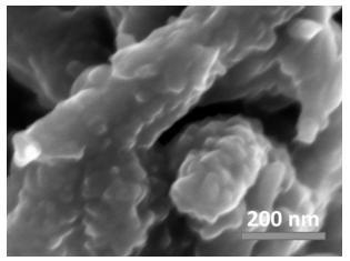 Polyaniline/graphene oxide nanofiber composite material, and preparation method and application of composite material