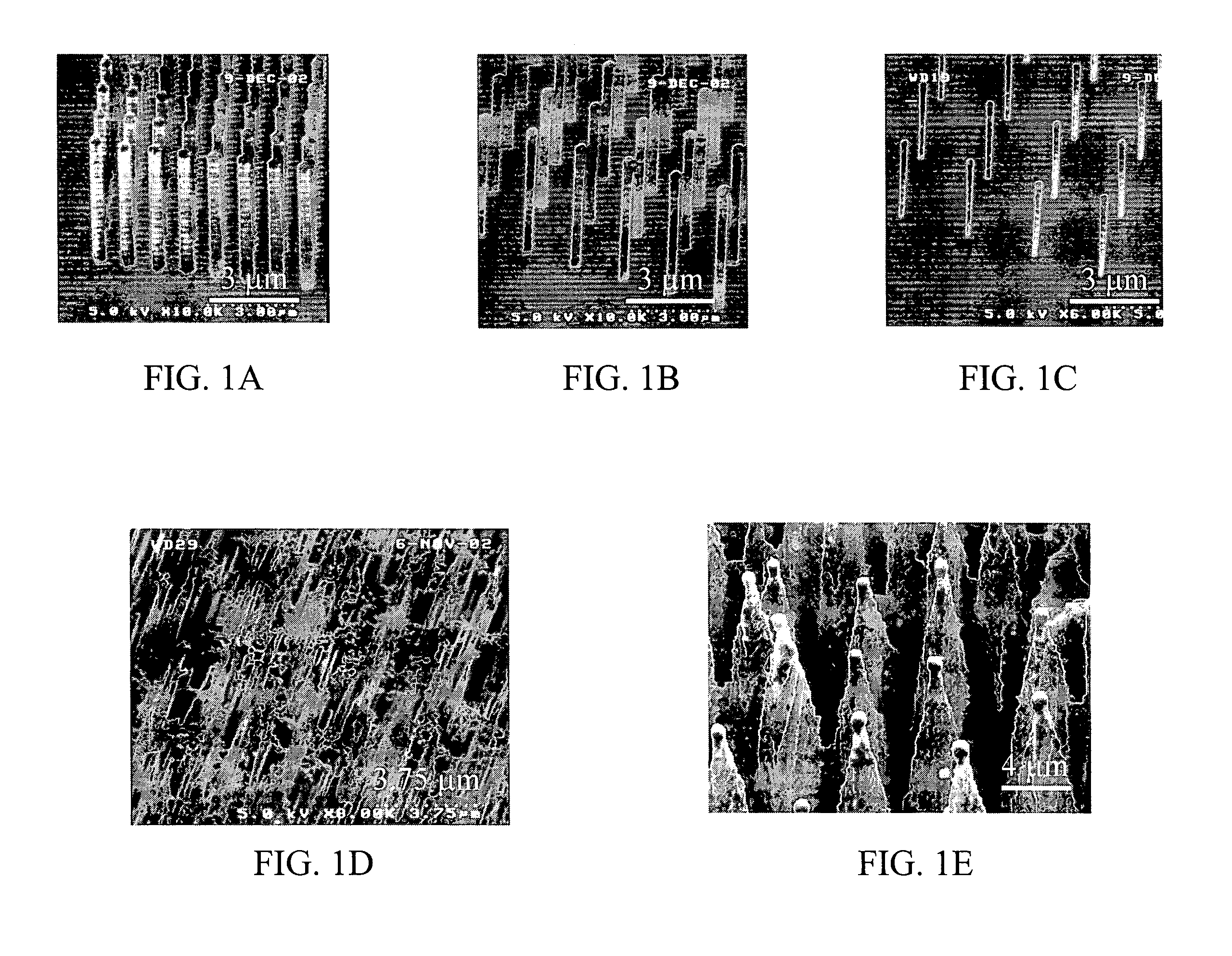 Dynamically controllable biological/chemical detectors having nanostructured surfaces