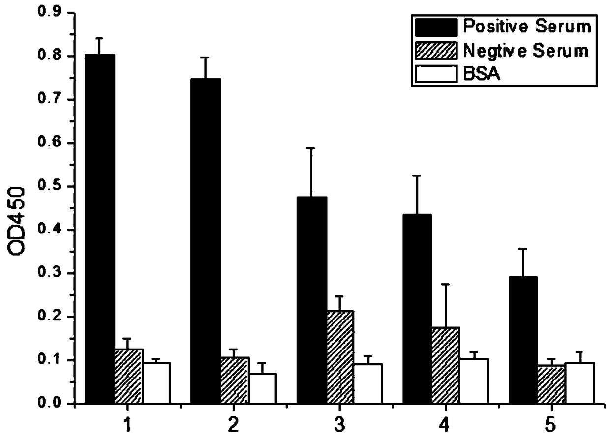 Polypeptide realizing specific combination with mycoplasma pneumoniae positive serum and diagnostic kit