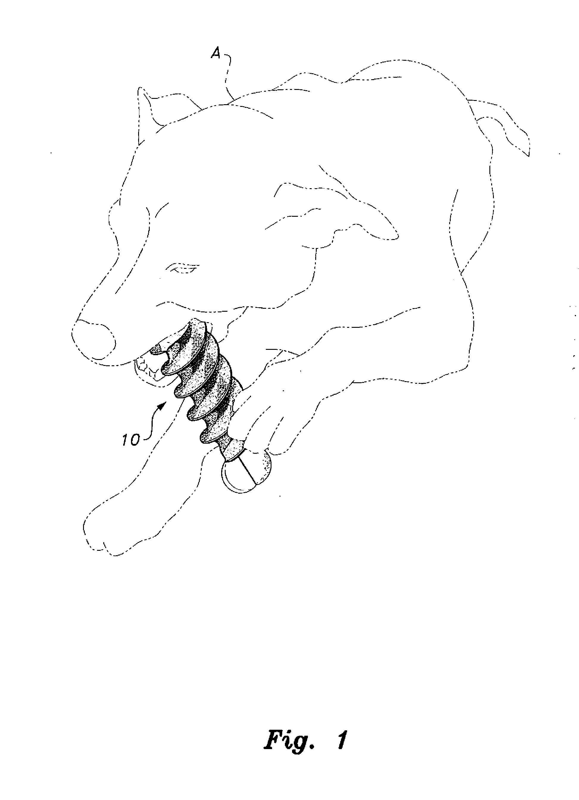 Helix-shaped dog chew