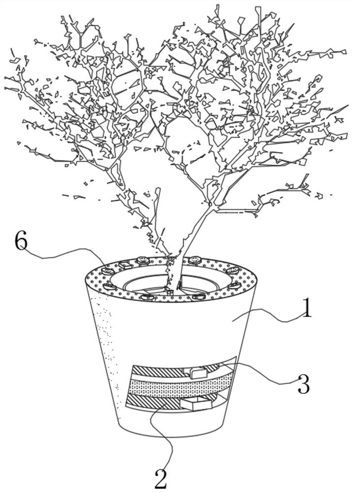 Soilless cultivation device for potted wax plum