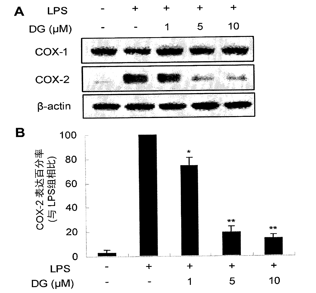 Paeoniflorin compound with inhibitory activity against abnormal expression of cyclooxygenase-2, its preparation method and application