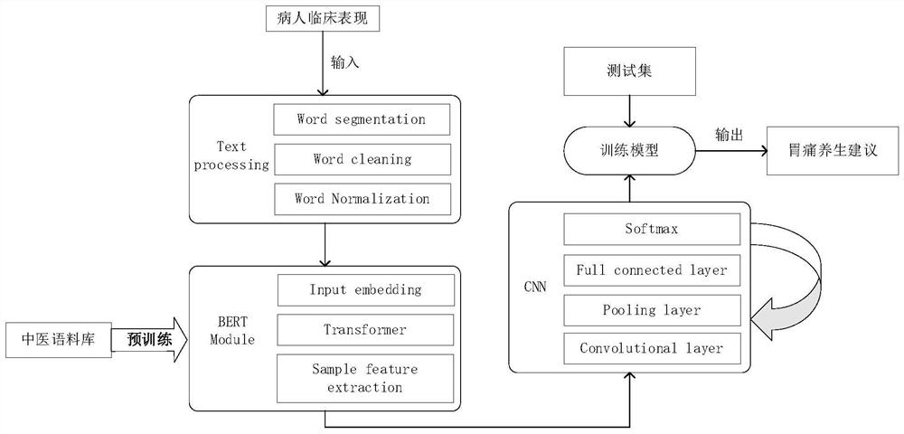 Traditional Chinese medicine stomachache health preserving scheme obtaining device based on BERT language model and CNN model