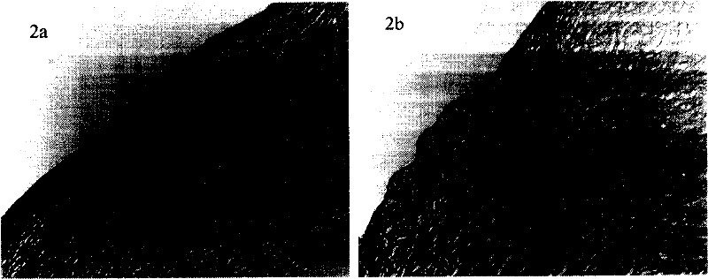 Method for preparing acellular matrix