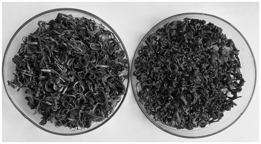 Production process of dandelion tea