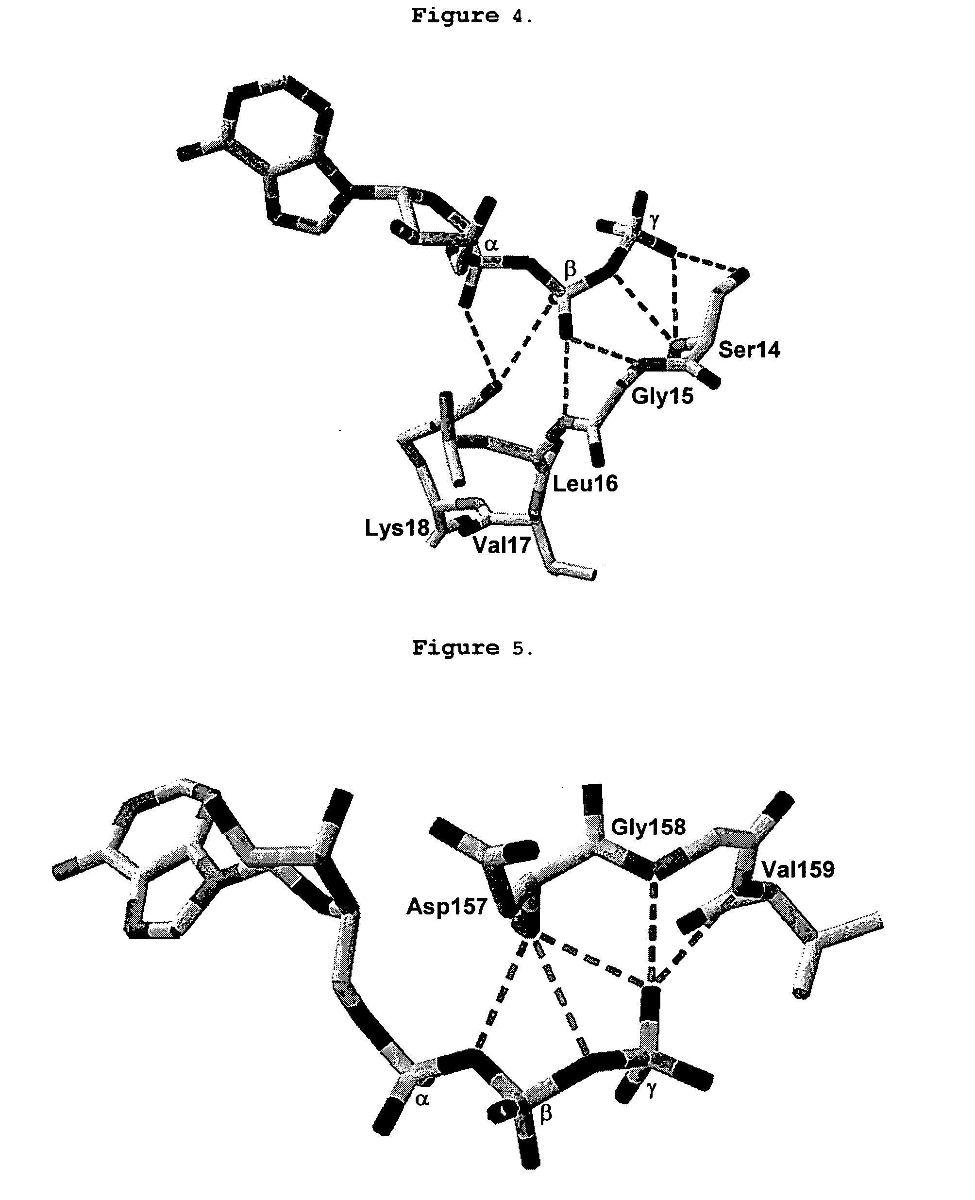 Design and therapeutic use of adpase enhanced apyrases