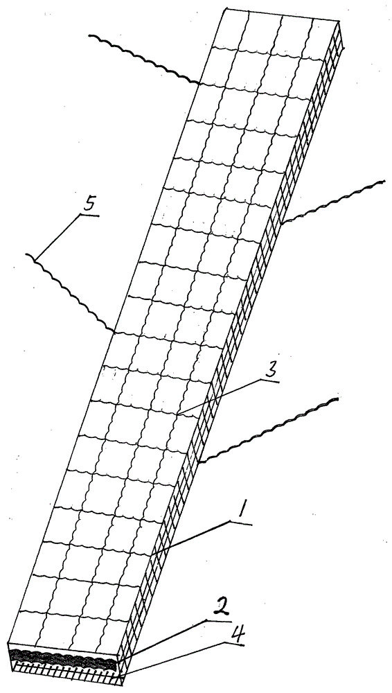 A protective tape for improving the survival rate of transplanted trees