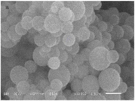 A surface imprinted material selectively adsorbing nordihydroguaiaretic acid and its preparation method