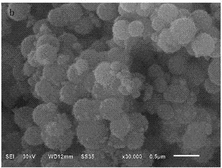 A surface imprinted material selectively adsorbing nordihydroguaiaretic acid and its preparation method