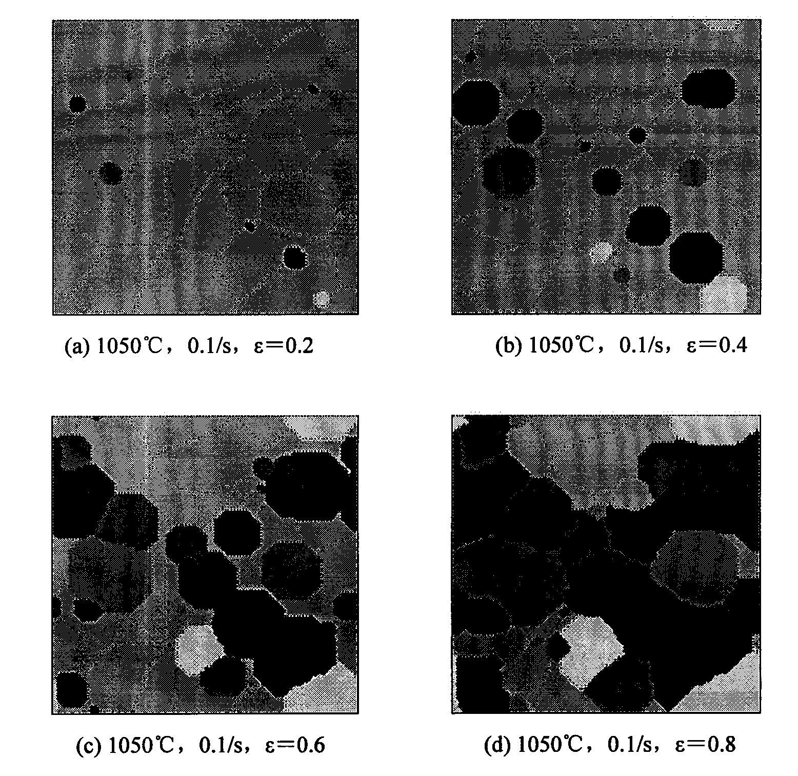 Method for predicting structure evolution of austenite dynamic recrystallization in thermal deformation of plate-strip steel