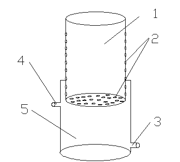 Bottom water inlet flowerpot