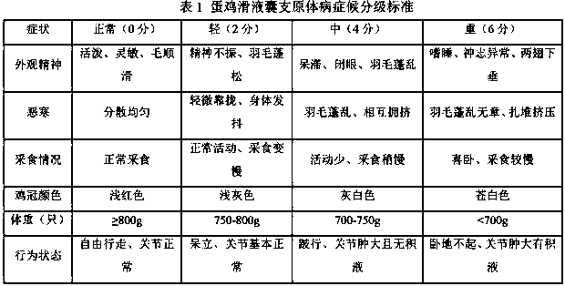 Traditional Chinese medicine composition for treating synovial sac mycoplasmosis of laying hens and preparation method thereof