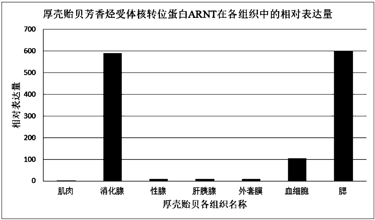 Aryl hydrocarbon receptor nuclear translocator (ARNT)-novel marine organism pollution detection marker