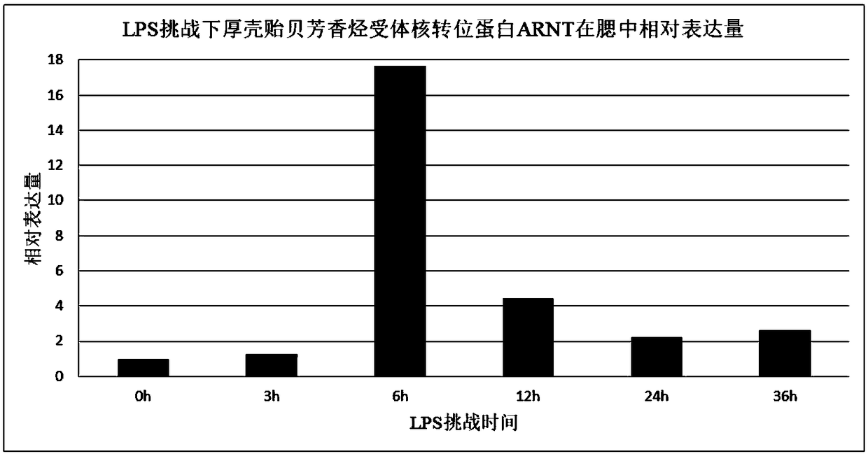 Aryl hydrocarbon receptor nuclear translocator (ARNT)-novel marine organism pollution detection marker