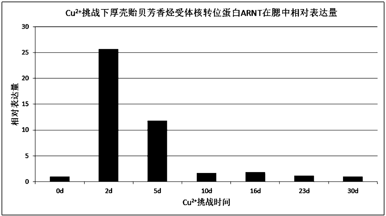 Aryl hydrocarbon receptor nuclear translocator (ARNT)-novel marine organism pollution detection marker