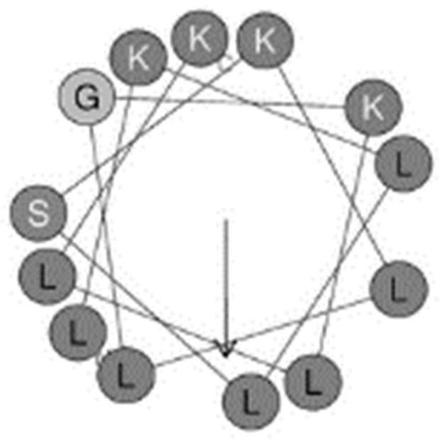 A kind of low molecular weight antimicrobial peptide yhx-2 and its composition and application