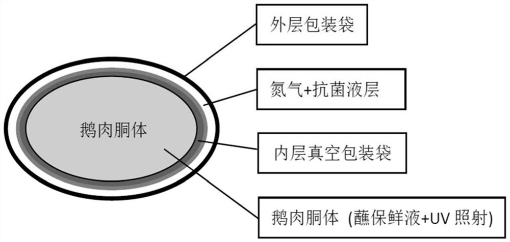 Multi-antibacterial fresh-keeping treatment method for chilled geese