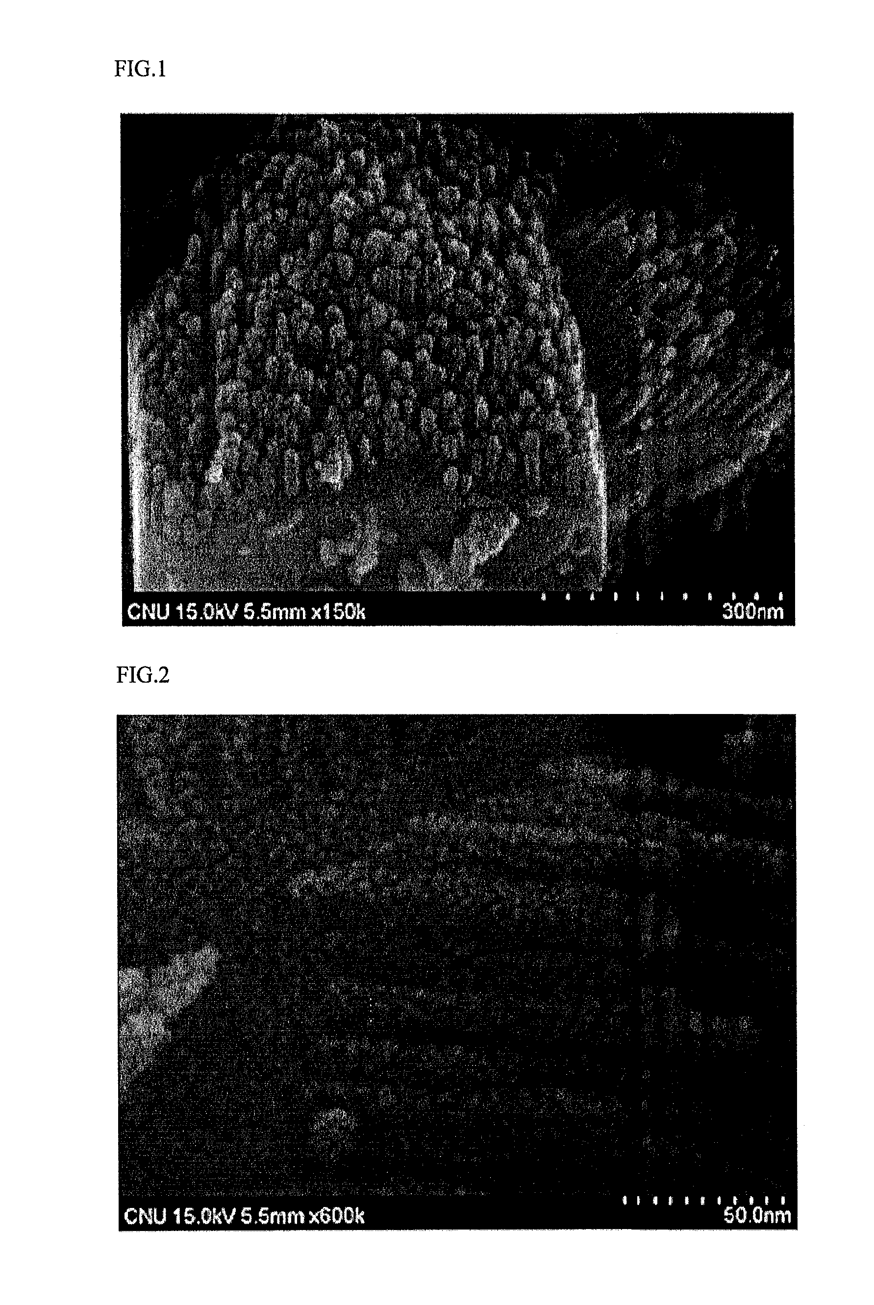 Metal complex of fluorinated tin oxide and titanium oxide and preparation method thereof