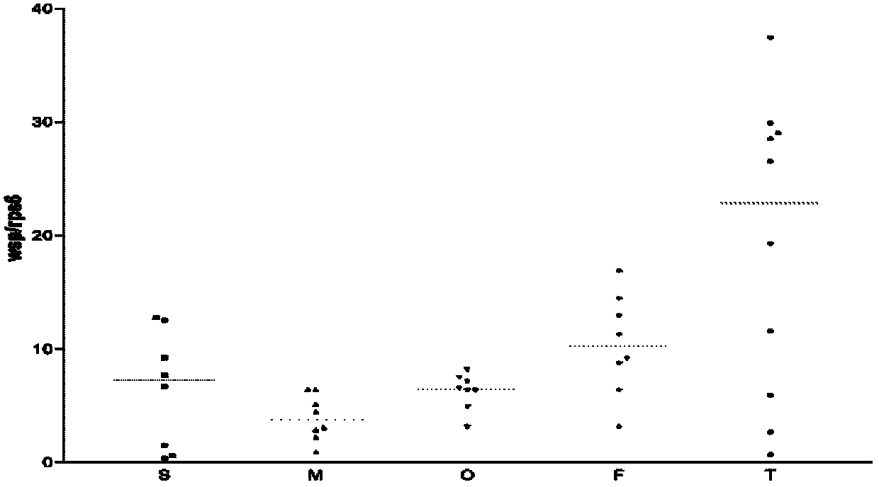 Primer for quickly and quantitatively detecting Wolbachia in tissues of mosquito and reagent box and method thereof