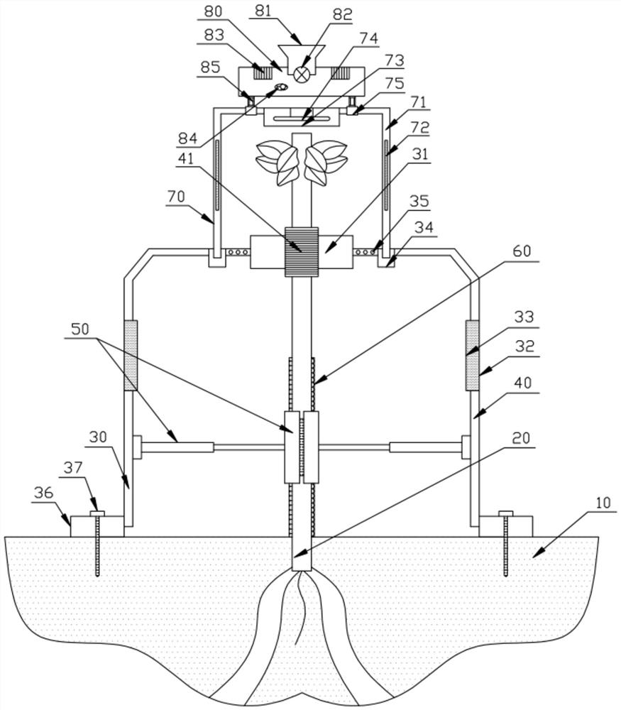 A wind-shielding and anti-freezing device for planting forestry seedlings