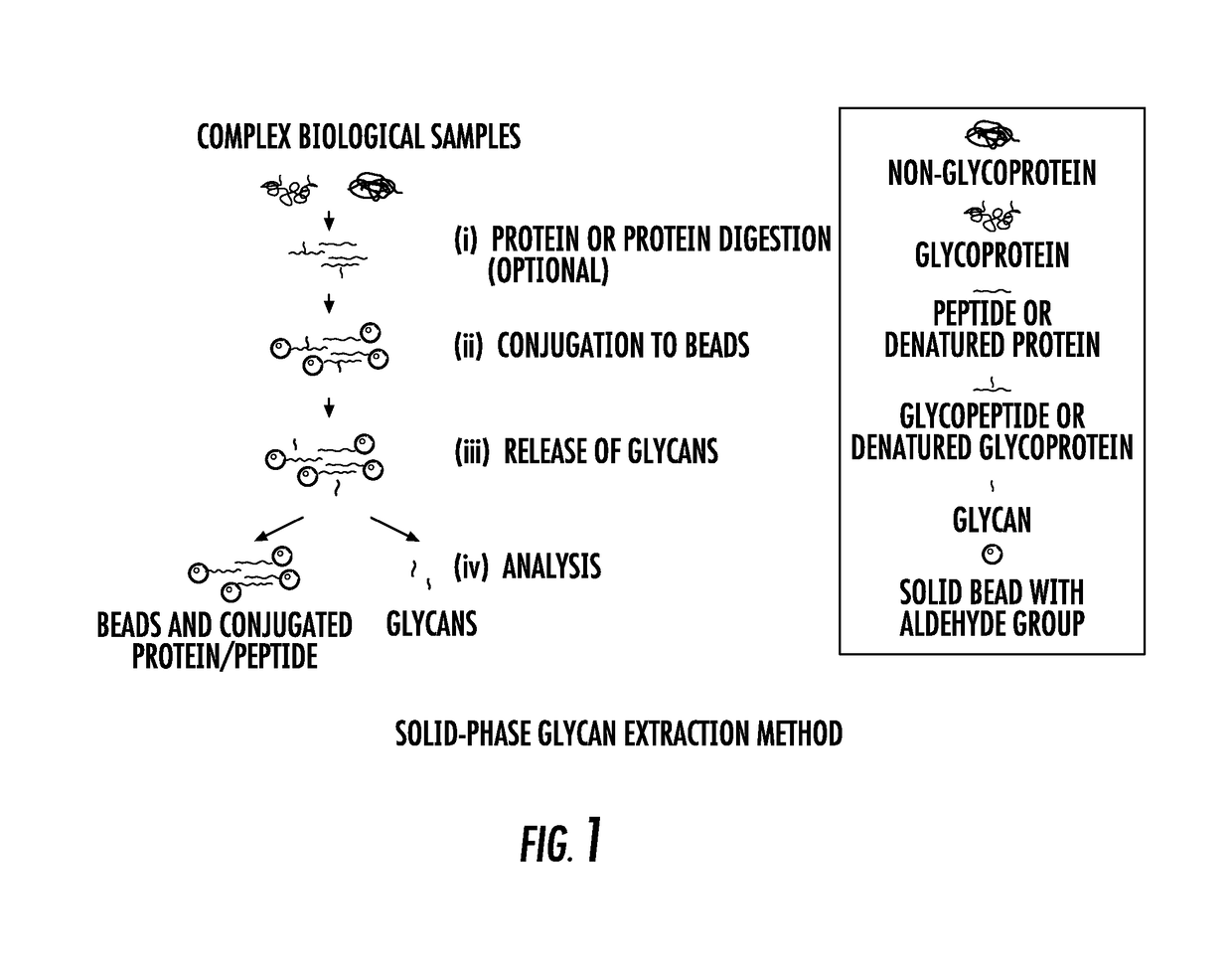 Isobaric aldehyde-reactive tags for and analysis of glycans using same