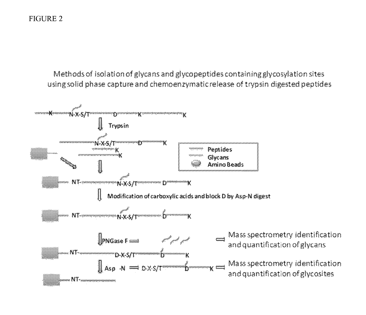 Isobaric aldehyde-reactive tags for and analysis of glycans using same