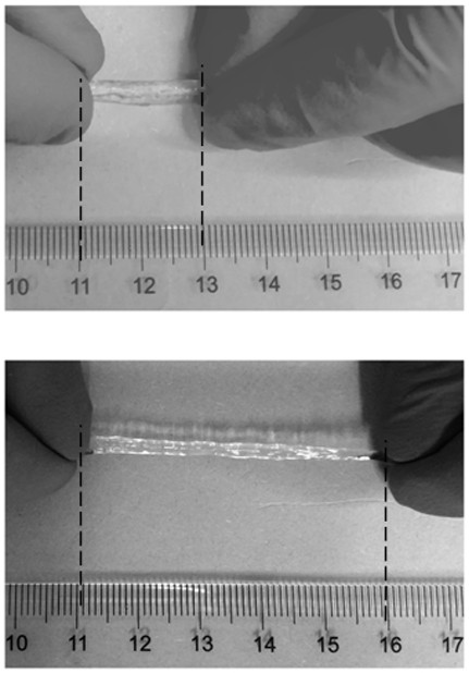 A kind of double network silk fibroin hydrogel and preparation method thereof