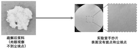 Antibacterial, antioxidant and pulping barrier coating resin for food packaging and preparation method of antibacterial, antioxidant and pulping barrier coating resin