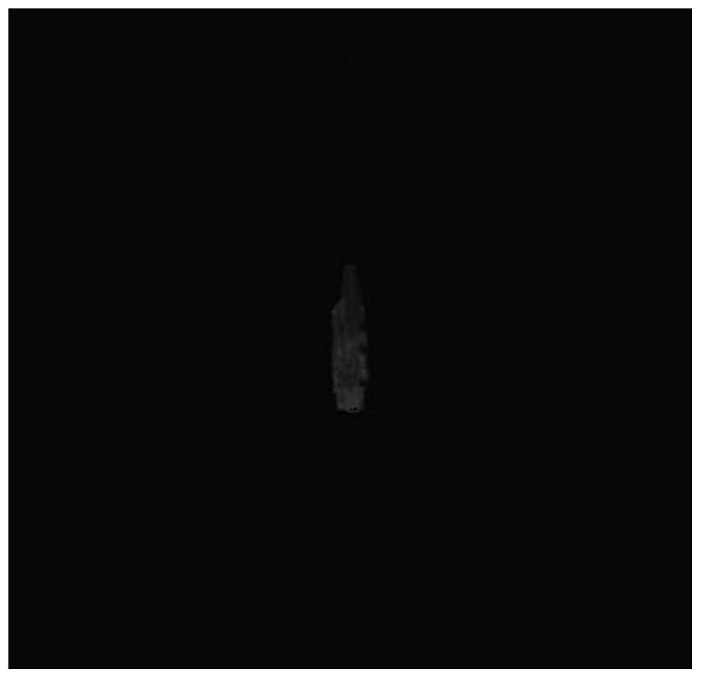 Simulation method and system for ship target in Gaofen-4 multispectral remote sensing image based on Poisson fusion and histogram matching