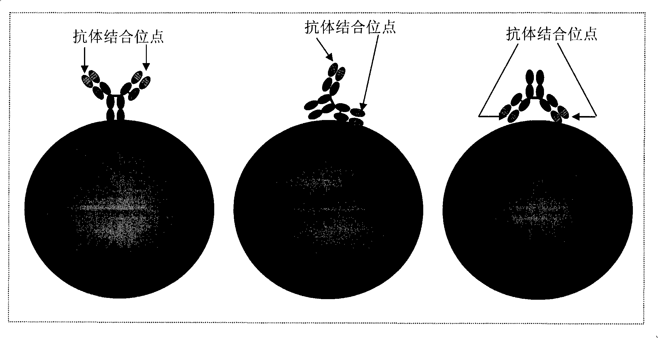 Magnetic recognition system