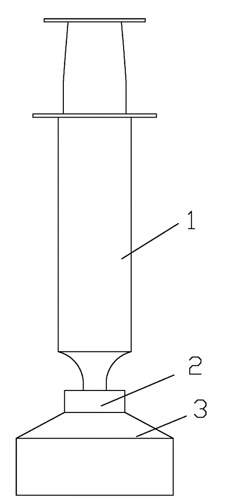 Method for fixing mineral leaching rod-shaped bacteria for AFM analysis under strong acid condition