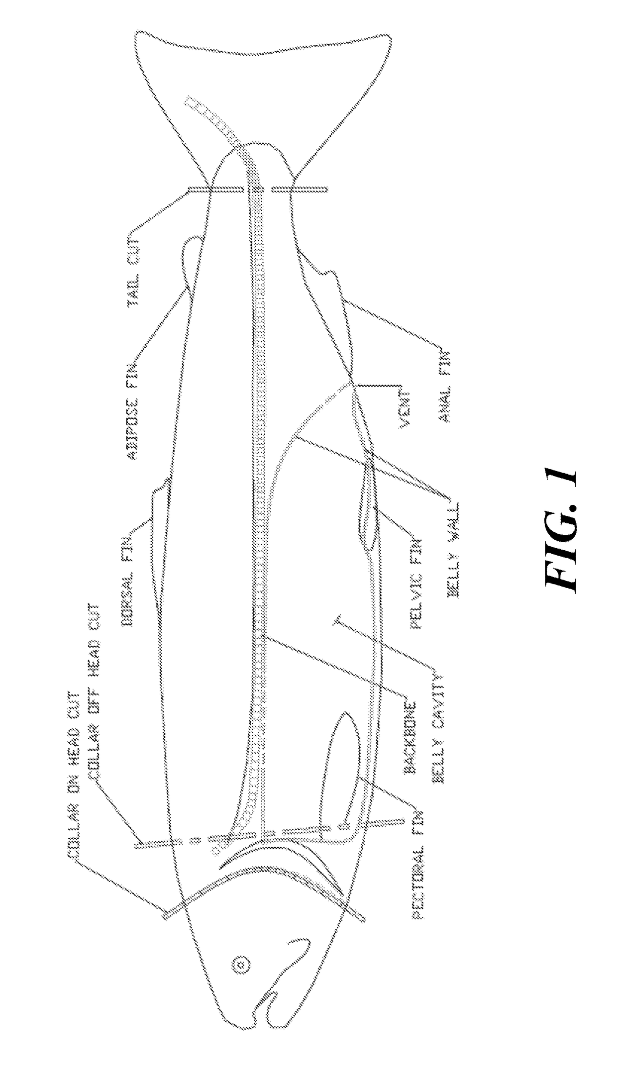Fish processing systems and methods