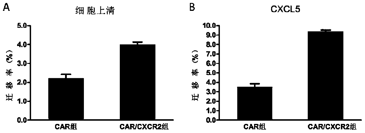 CAR-NK92 cell expressing CXCR2, preparation method and application thereof