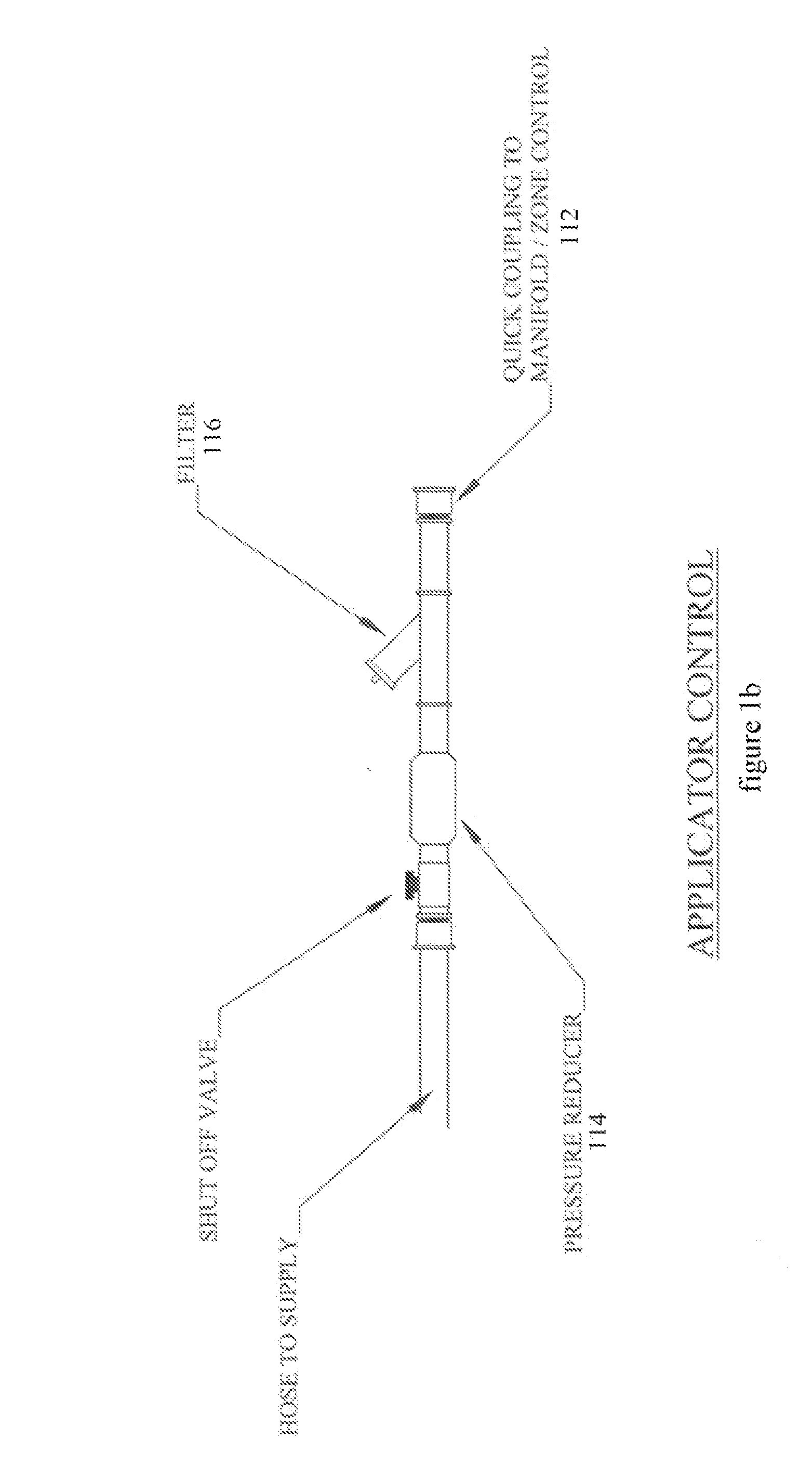 Termite Control System and Method