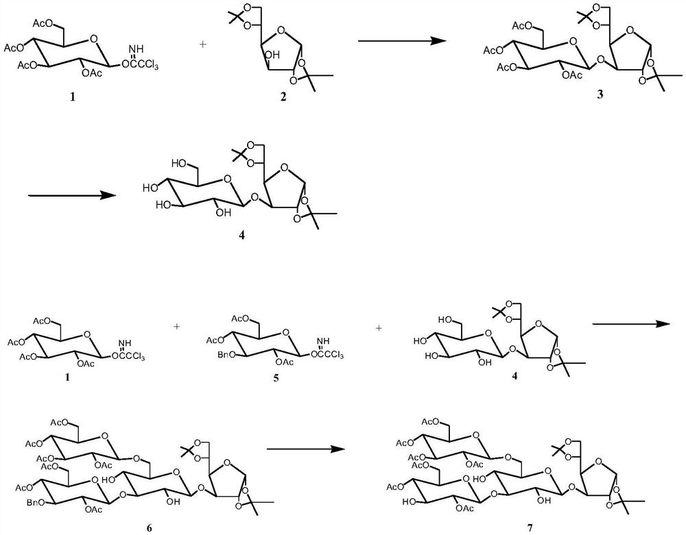 Method for synthesizing heptasaccharide of lentinan core fragment beta-(1-&gt; 6) branched chain beta-(1-&gt; 3) main chain