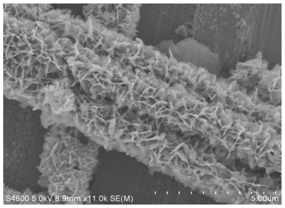 A kind of iron-doped copper sulfide nanosheet material with abundant defects and its preparation method and application