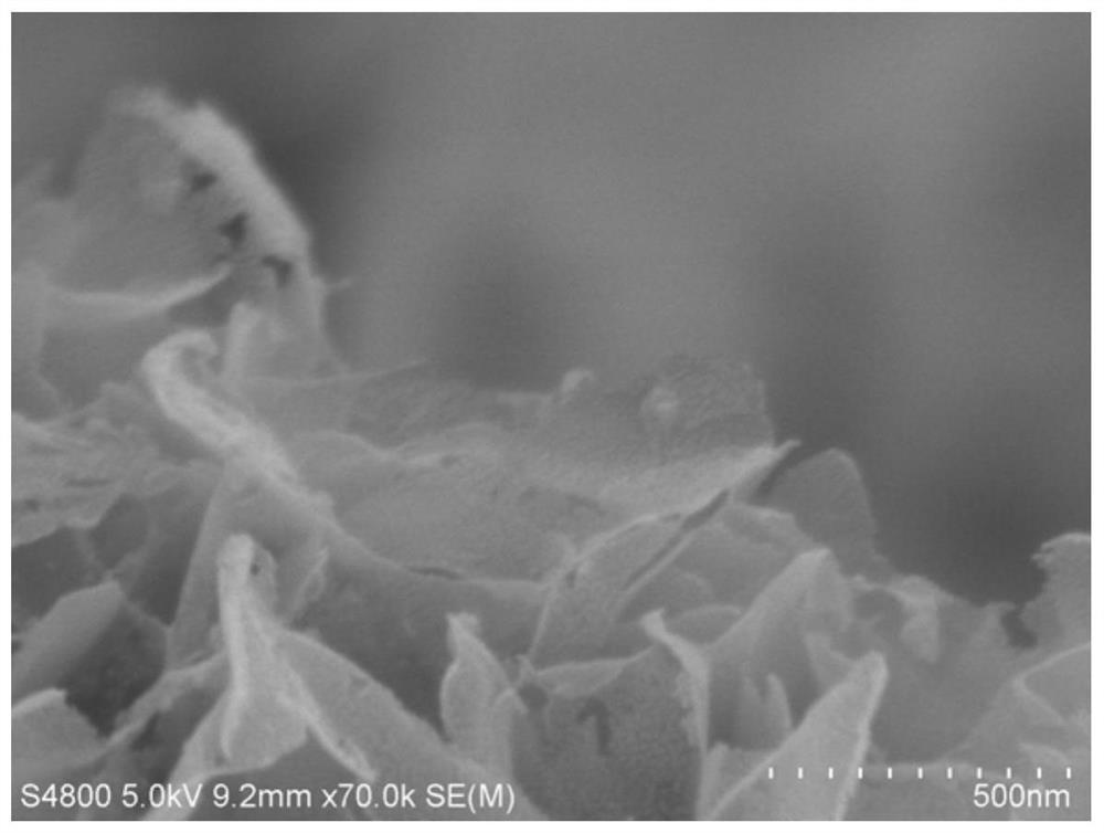 A kind of iron-doped copper sulfide nanosheet material with abundant defects and its preparation method and application