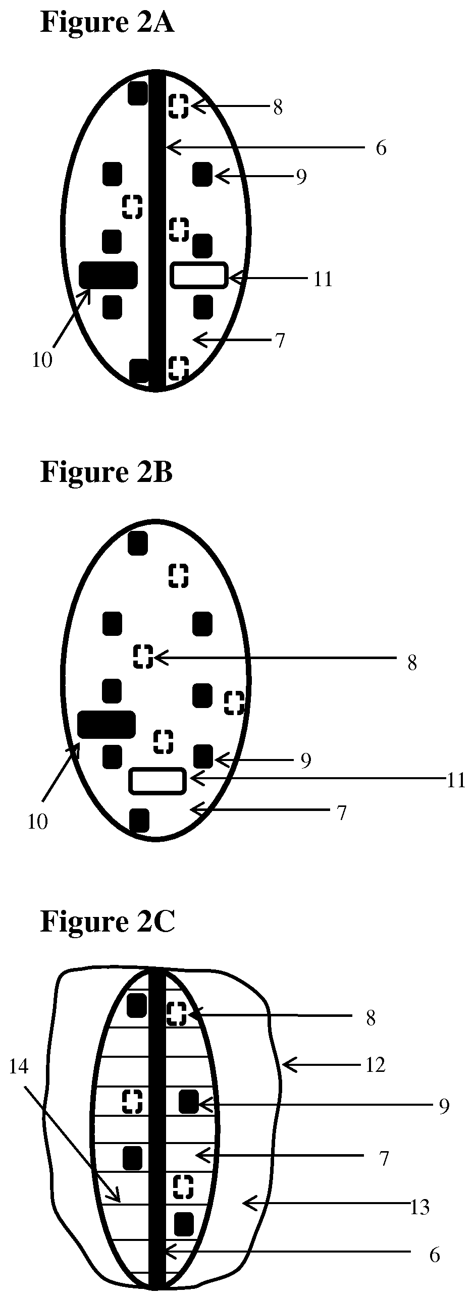 Apparatus for testing distal colonic and anorectal function