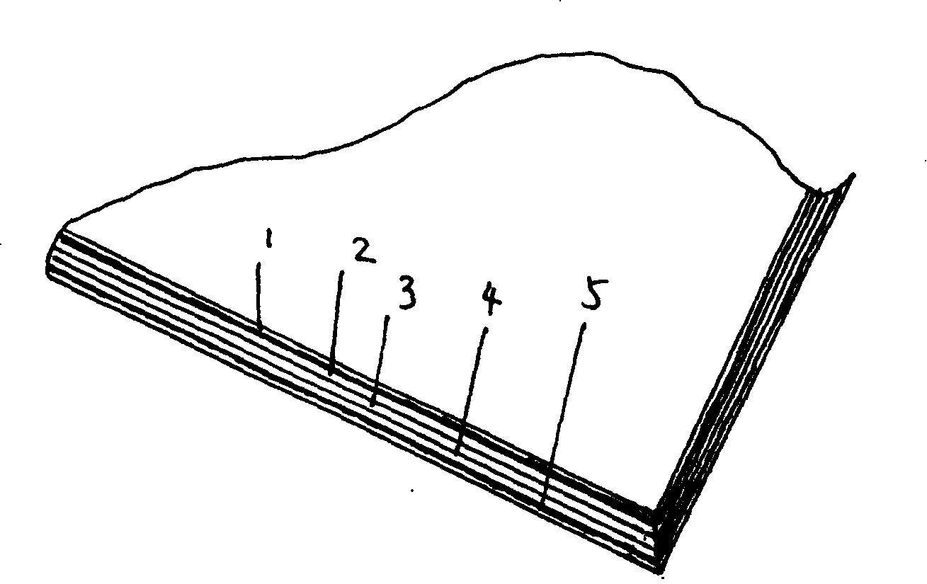 Located multicolour anti false coated white paperboard and production process thereof