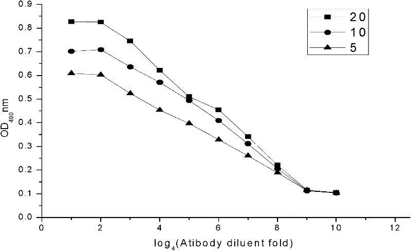 Monoclonal antibody resistant to thermostable direct hemolysin of vibrio parahaemolyticus and preparation method of monoclonal antibody