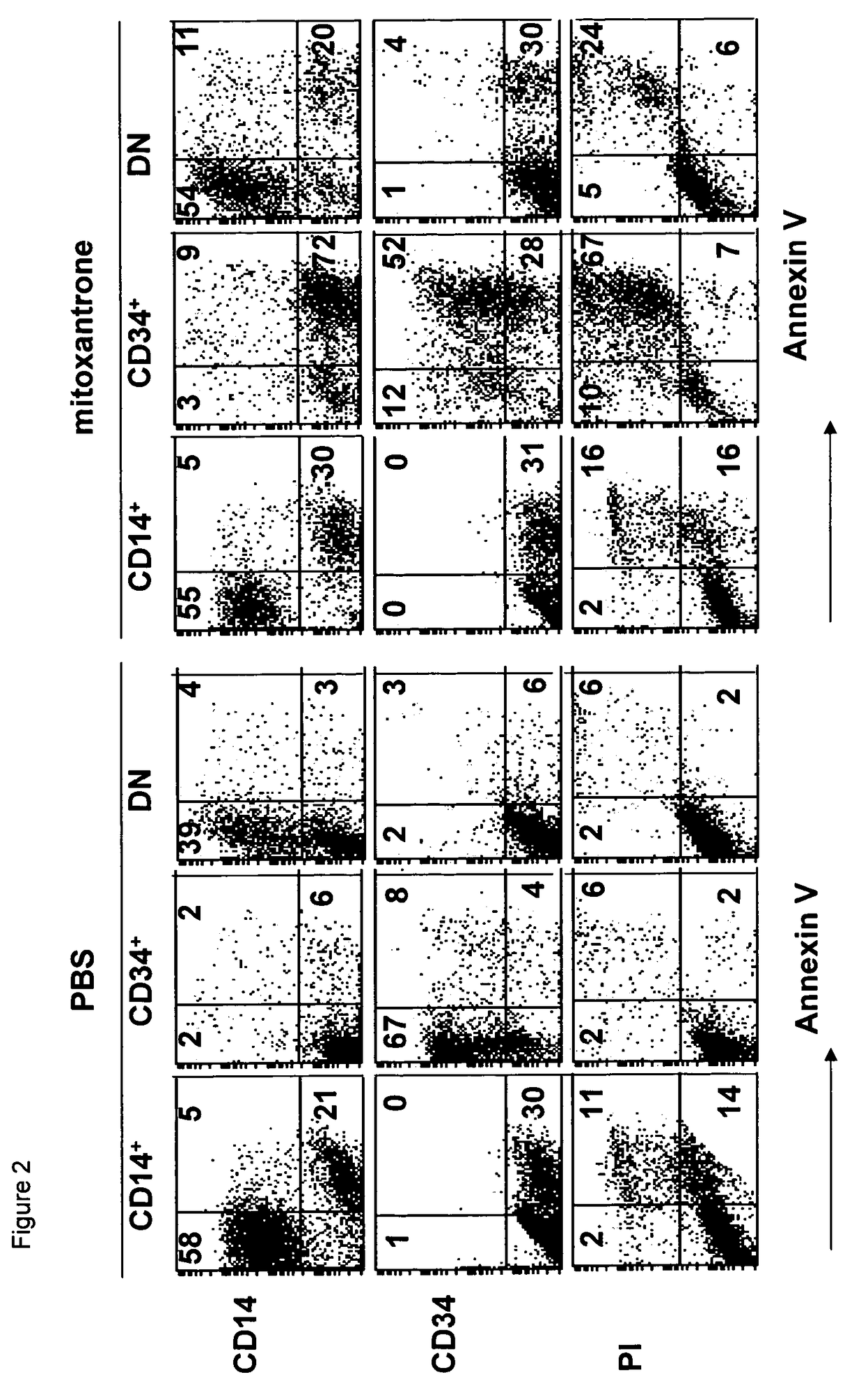 Method for inducing and accelerating cells
