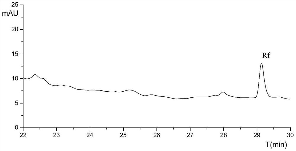 Rahnella HGS-393 strain for converting ginsenoside Rf into Rh1 and application