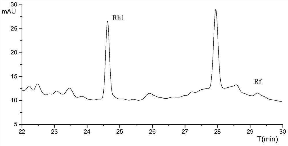 Rahnella HGS-393 strain for converting ginsenoside Rf into Rh1 and application