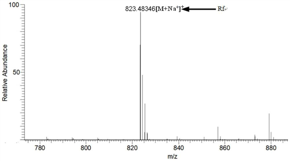 Rahnella HGS-393 strain for converting ginsenoside Rf into Rh1 and application