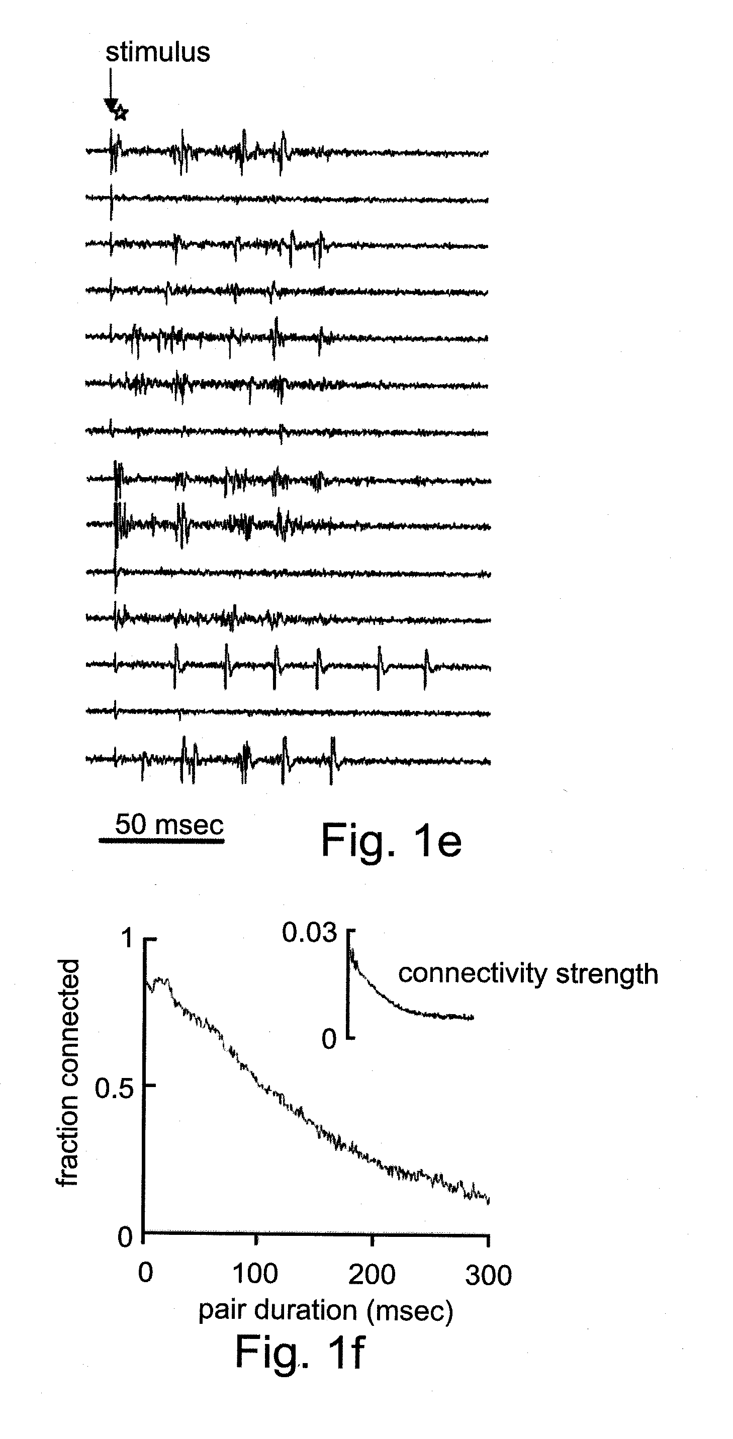 Cells and methods utilizing same for modifying the electrophysiological function of excitable tissues