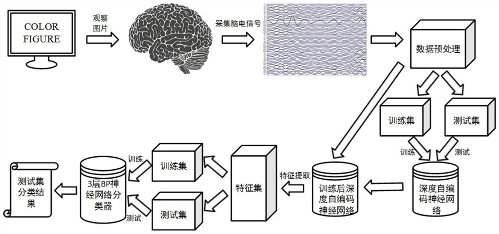 A method of EEG identification based on deep self-encoder neural network