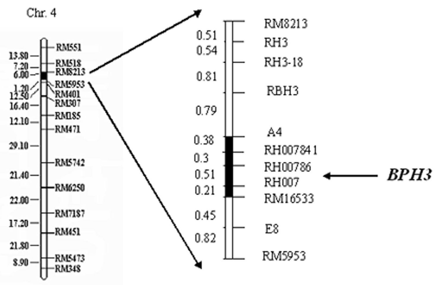 Molecular marker of anti-nilaparvata-lugens major gene Bph3 of rice