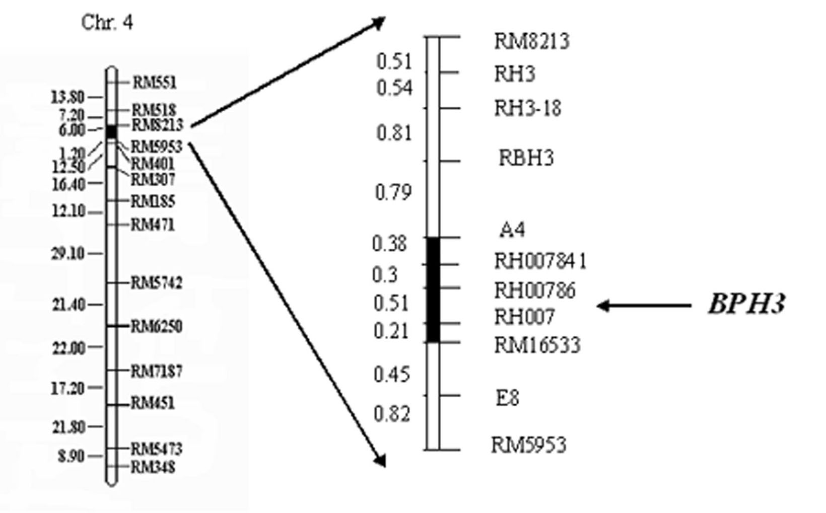 Molecular marker of anti-nilaparvata-lugens major gene Bph3 of rice