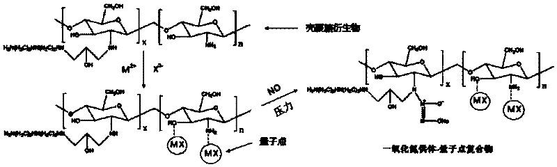 Preparation method of nitrogen oxide donor - quantum dots compound