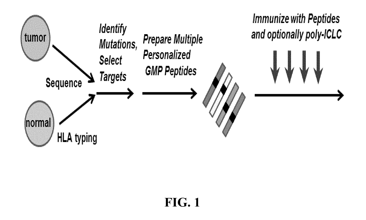 Formulations for neoplasia vaccines and methods of preparing thereof